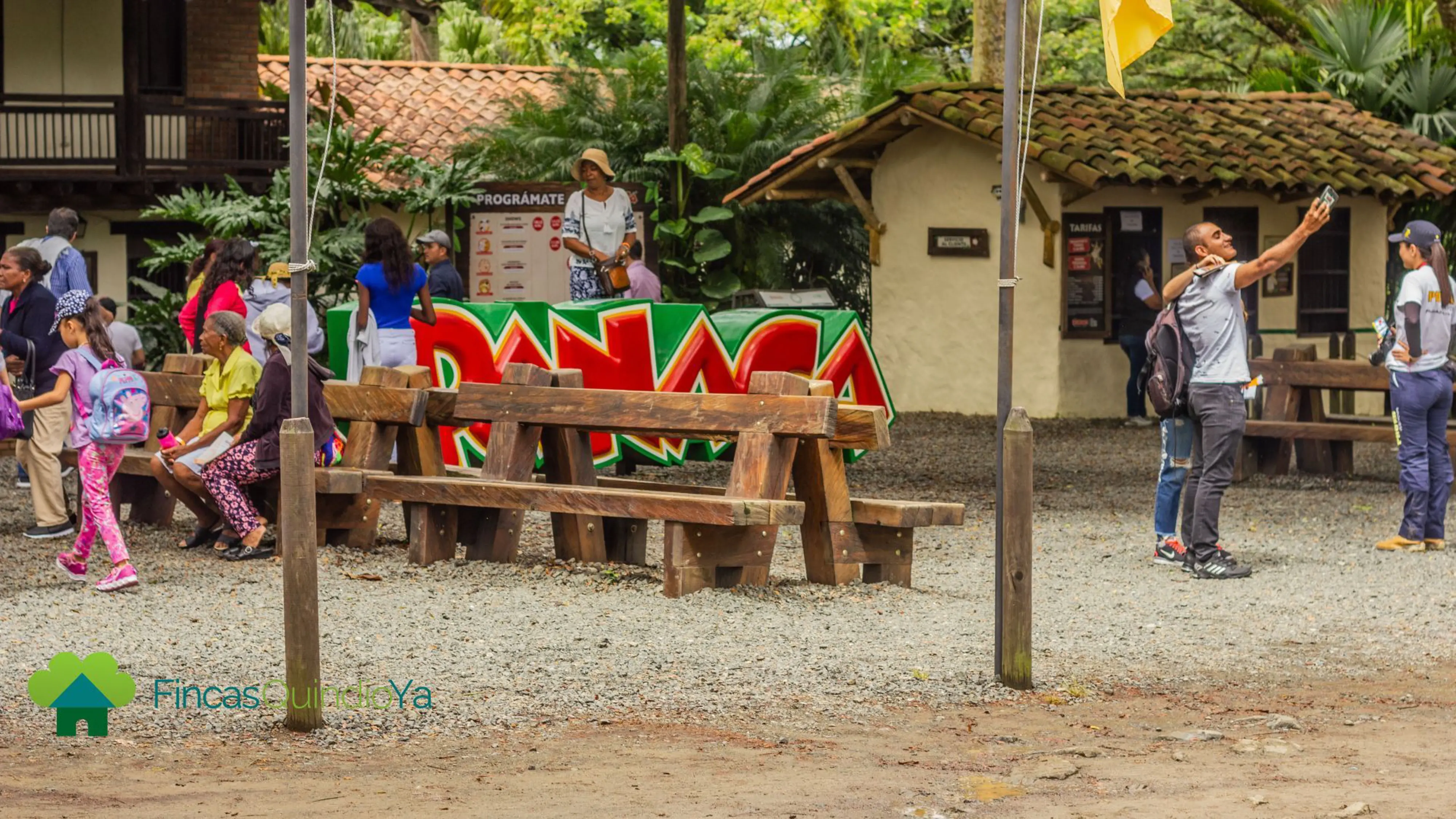 Gamo tour's, turismo, pasadias, transporte en ibagué, colombia