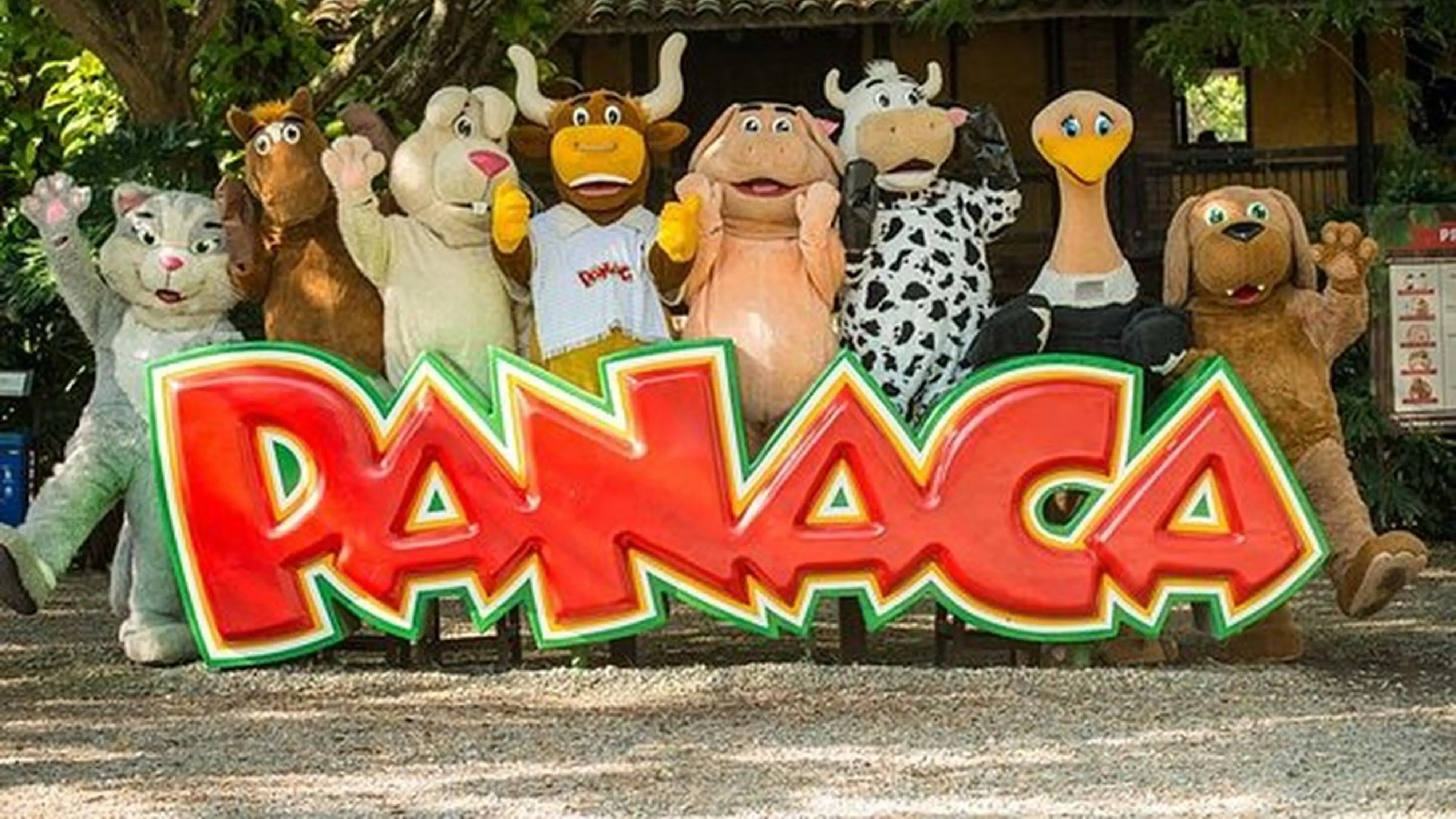 gamo tour's agencia de viajes ibagué