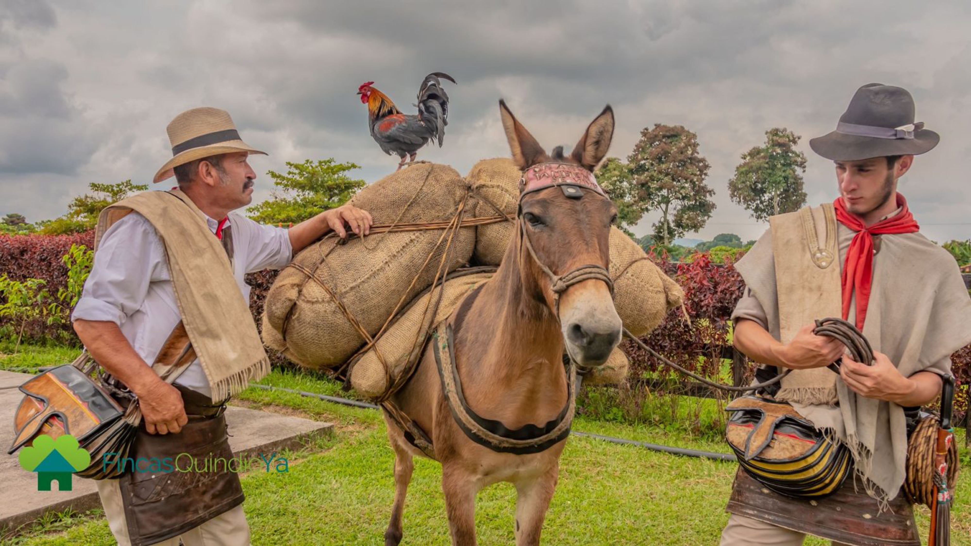 Gamo tour's, turismo, pasadias, transporte en ibagué, colombia