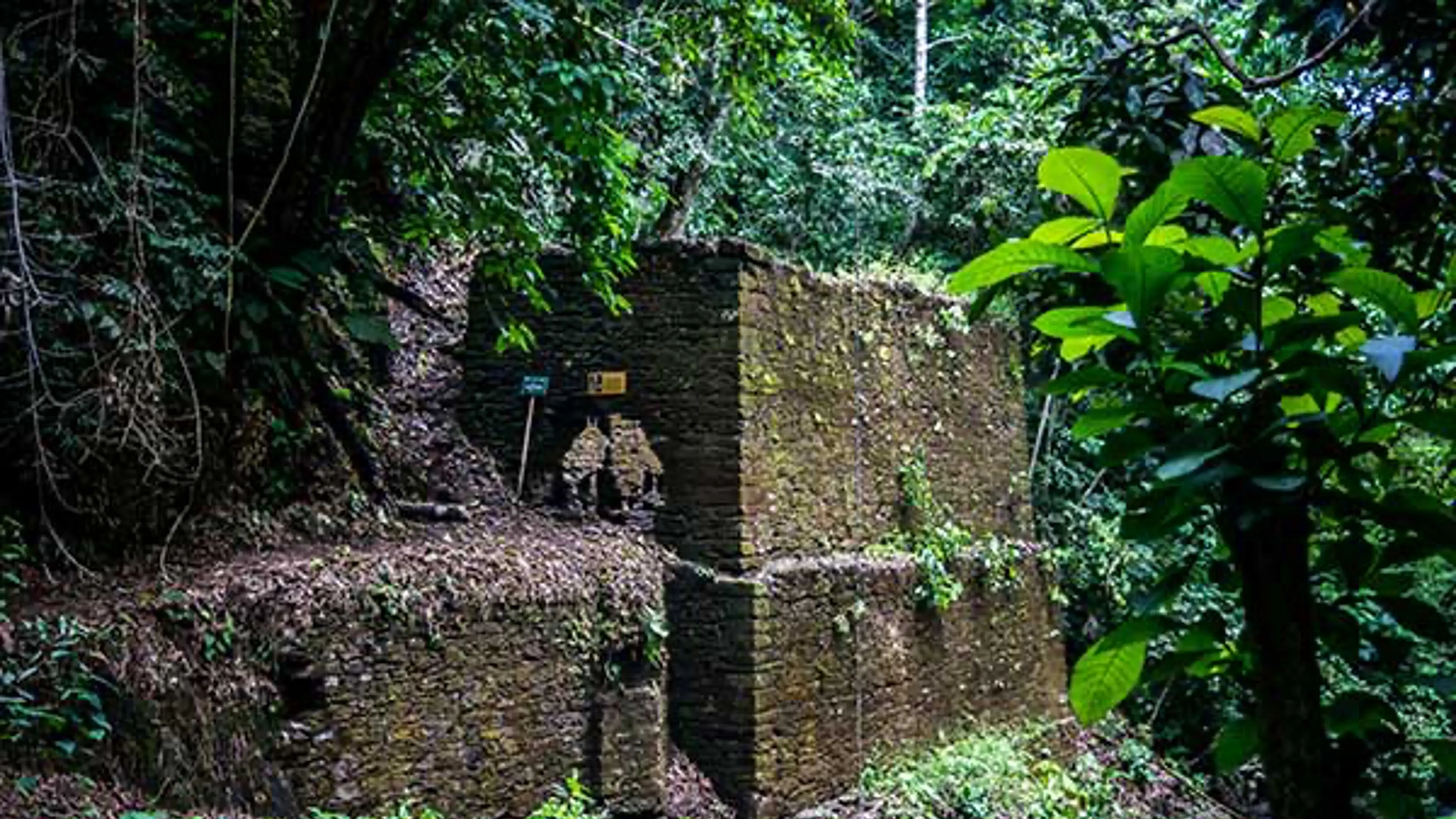 Gamo tour's, turismo, pasadias, transporte en ibagué, colombia