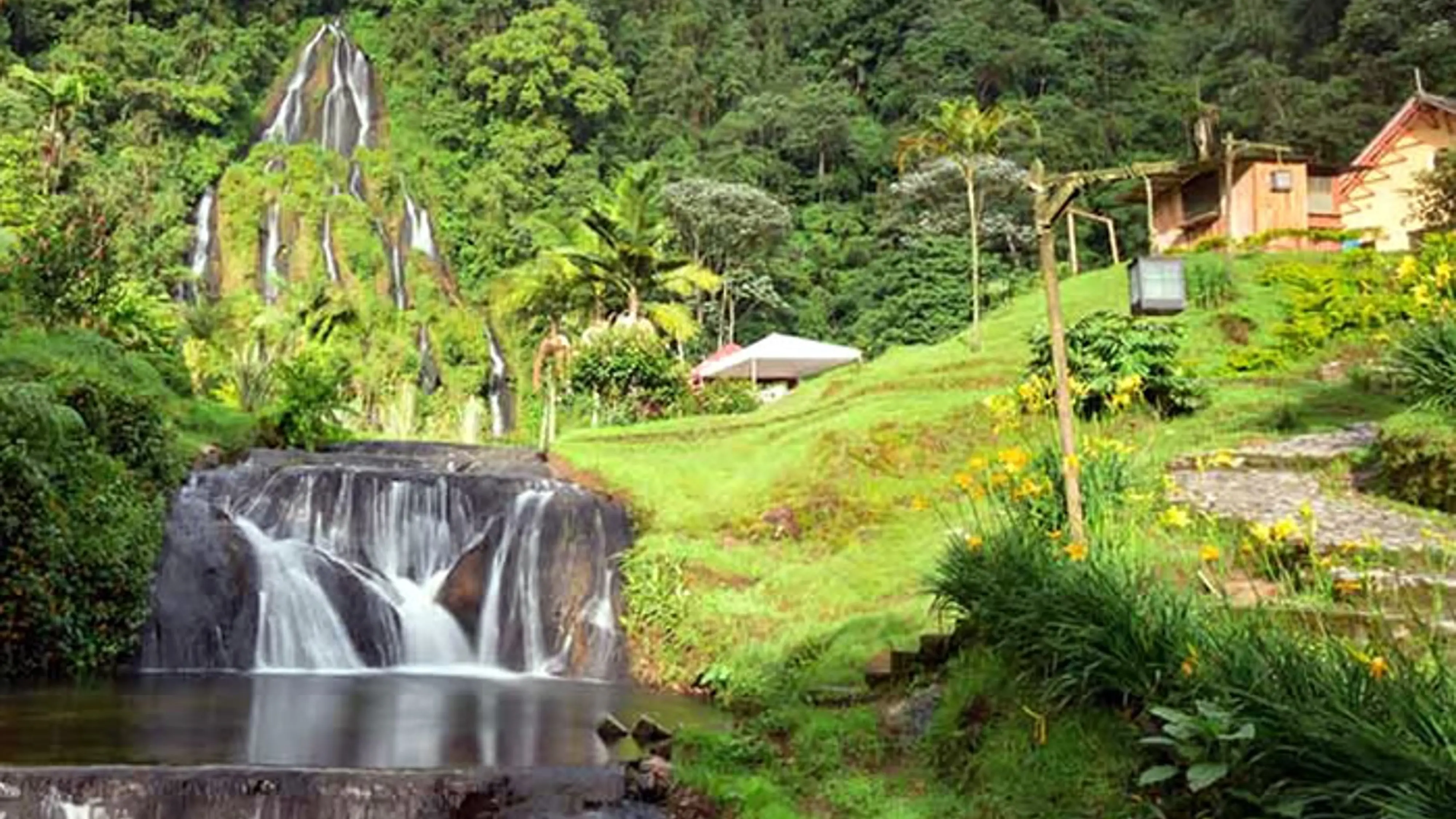 Gamo tour's, turismo, pasadias, transporte en ibagué, colombia