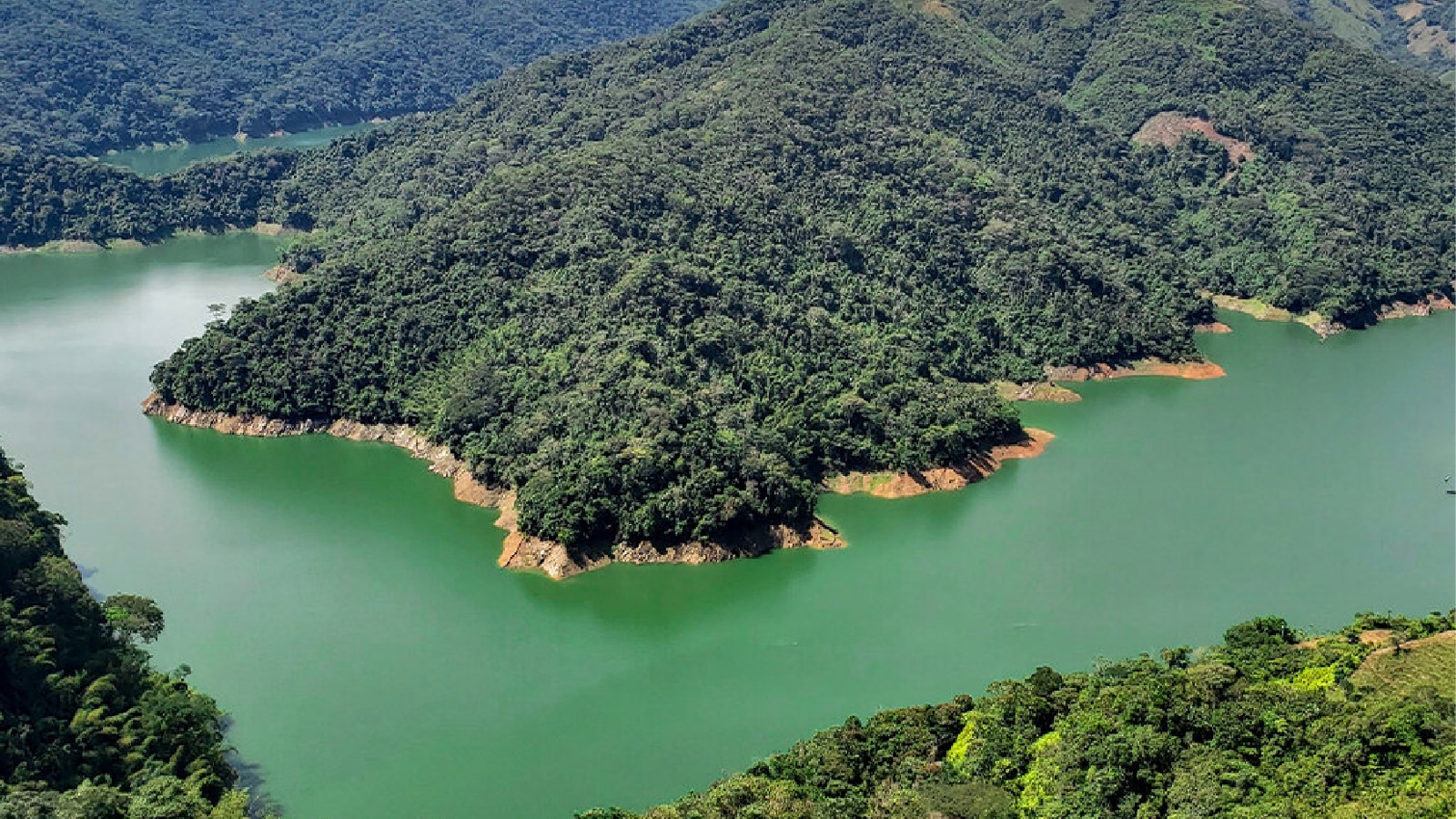 Gamo tour's, turismo, pasadias, transporte en ibagué, colombia