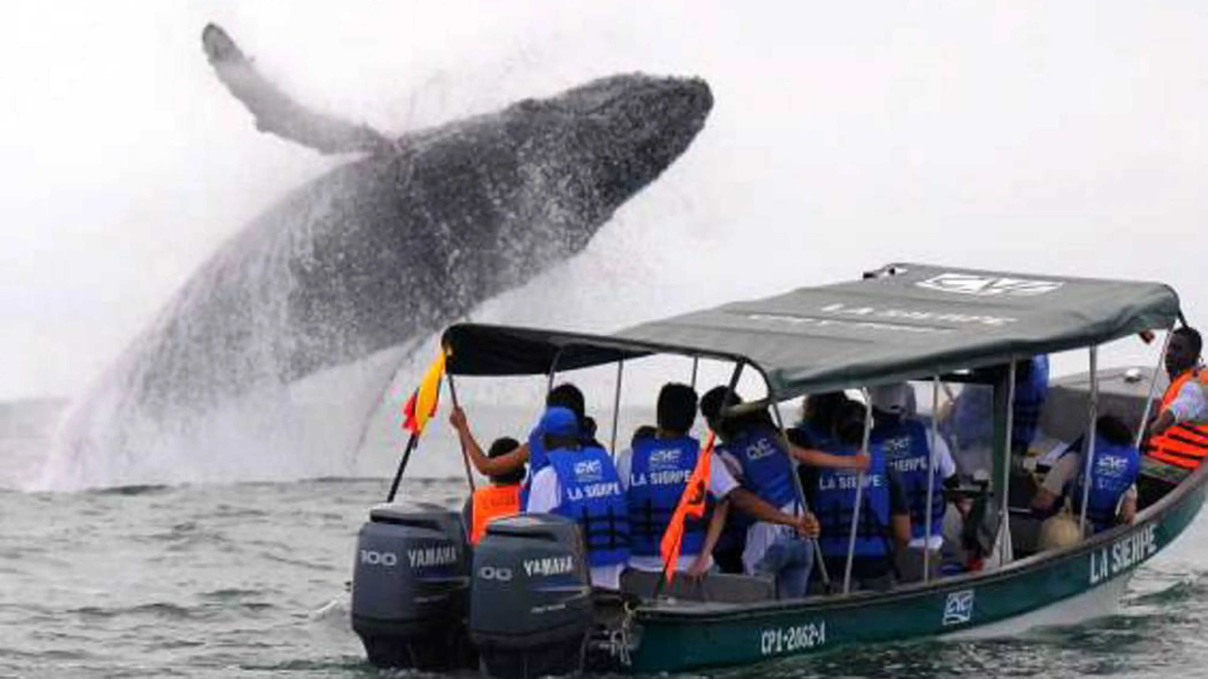 Gamo tour's, turismo, pasadias, transporte en ibagué, colombia